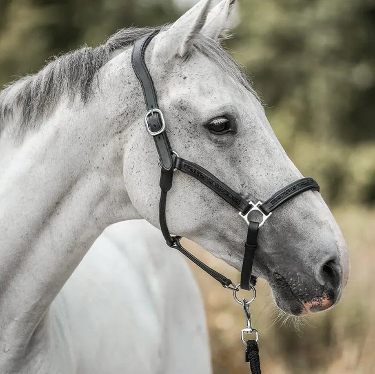 De luxe adventskalender voor paardenliefhebbers (2025)