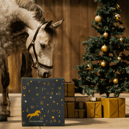 De luxe adventskalender voor paardenliefhebbers (2025)